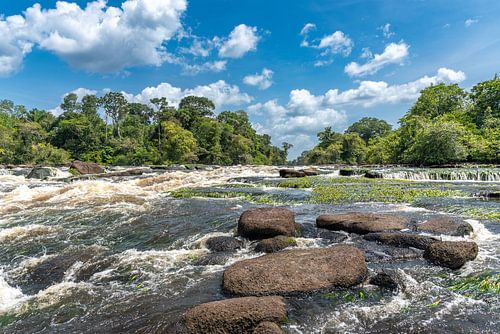 Awaradam Suriname Fluss
