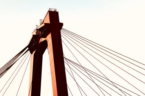 Willemsbrug Rotterdam