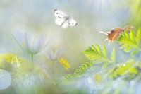 Fantasy with wood anemones