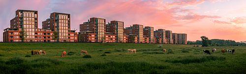 Maasbouvelard, 's-Hertogenbosch