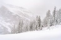 Paysage enneigé avec des conifères, des pins et beaucoup de neige par Moments by Kim Aperçu