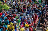 Het peloton van de Tour de France