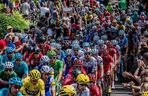 Het peloton van de Tour de France