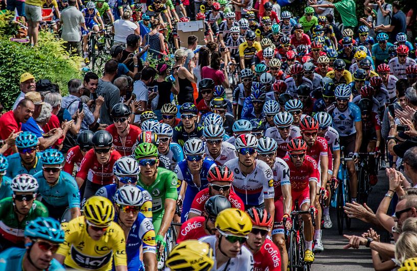 Das Peloton der Tour de France von Hugo Braun