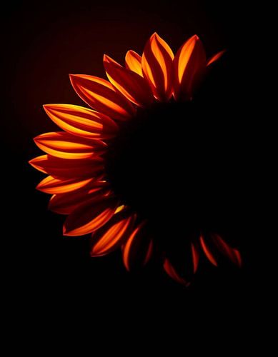 Ember Sun I
