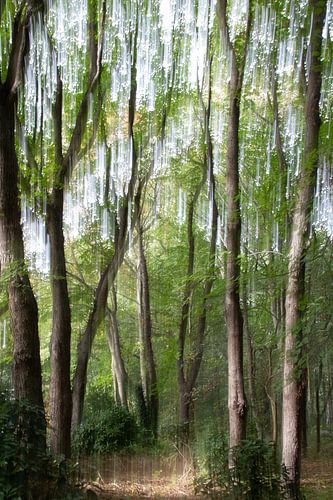 Bomen in beweging I