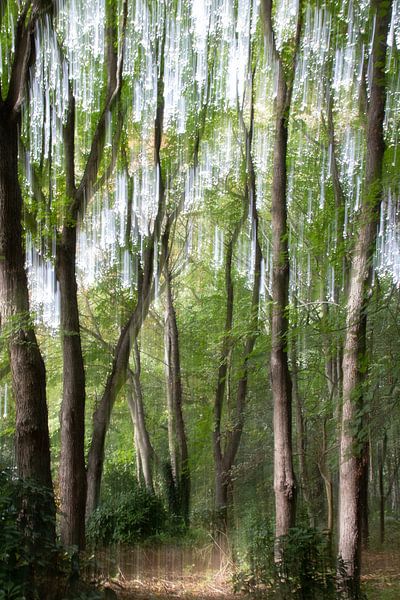 Arbres en mouvement I par Anne-Marie Verlooy