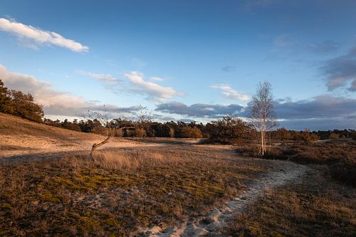 Loonse en Drunense Duinen Blauwe Lucht