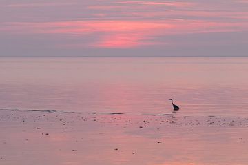 Lone heron by Menno Bakker