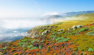 1608 Big Sur van Adrien Hendrickx