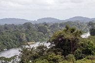 Surinamerivier van Peter R thumbnail