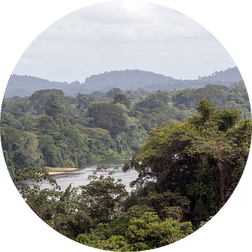 Surinamerivier van Peter R