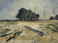 Heide bij Laren