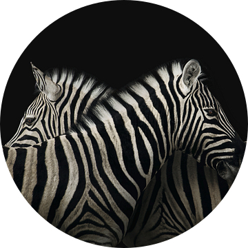 True zebra love van Elianne van Turennout