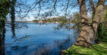 Mecklenburgse meren in het voorjaar van Animaflora PicsStock