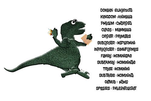 Paleontoloog