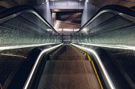 Central Station by Stephan de Haas thumbnail