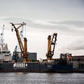 De puissants navires-grues sur le quai du port de Waalhaven sur scheepskijkerhavenfotografie