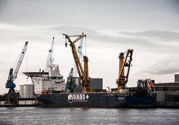 De puissants navires-grues sur le quai du port de Waalhaven sur scheepskijkerhavenfotografie