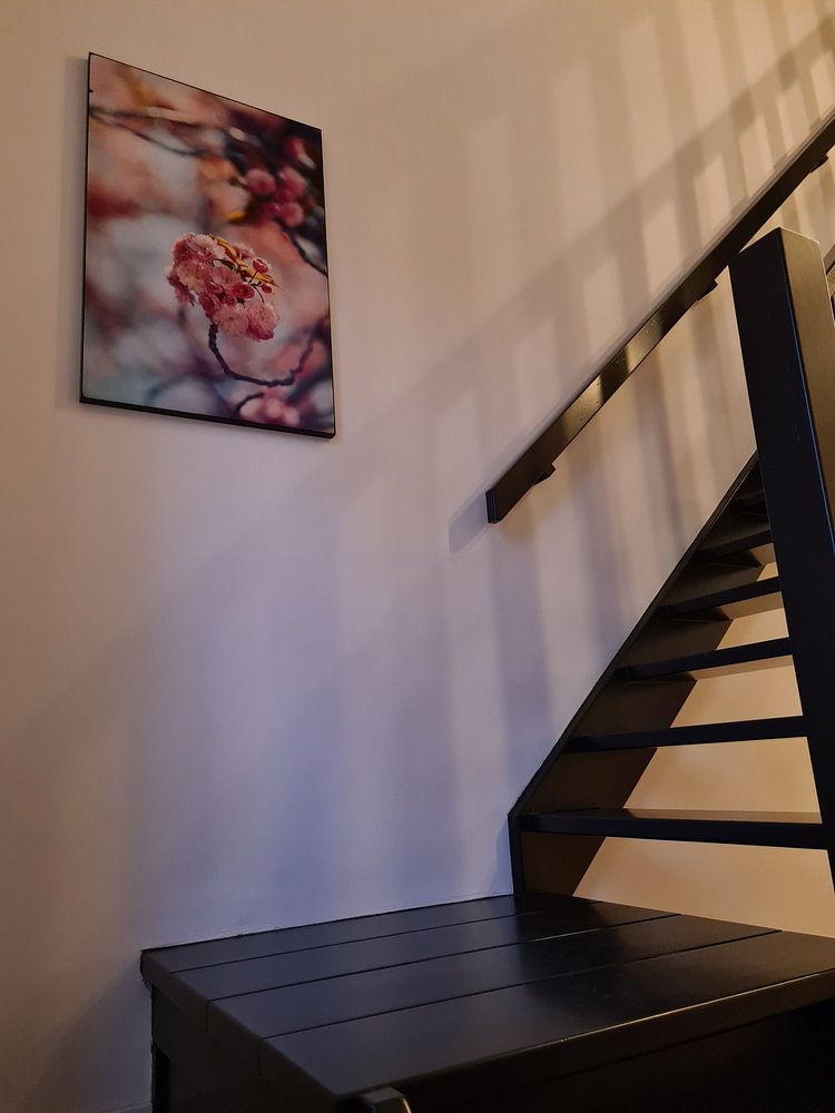 prunus par Els Fonteine