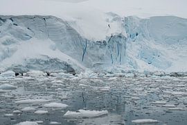 Gletsjerwand – De Stilte van Antarctica van Nanda Bussers