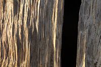 Nahaufnahme eines Holzpfahls am Meer