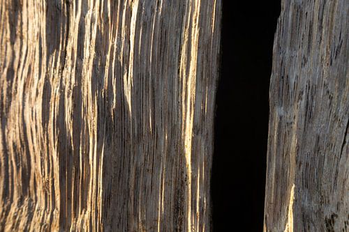 Close-up of wooden pole by the sea