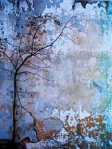 Wand Baum Natur Melancholie Minimalismus Textur