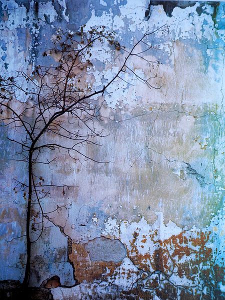 Muur Boom Natuur Melancholie Minimalisme Textuur van gm_designs