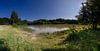 Panorama van de vijver in natuurgebied Kwintelooyen van Jacques Jullens thumbnail
