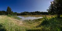 Panorama of the pond in nature reserve Kwintelooyen by Jacques Jullens thumbnail