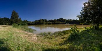 Panorama van de vijver in natuurgebied Kwintelooyen