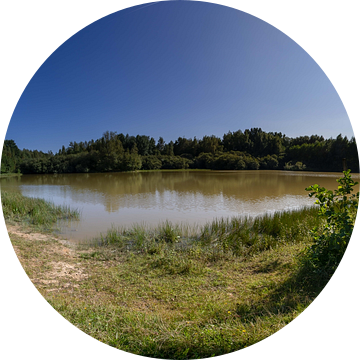 Panorama van de vijver in natuurgebied Kwintelooyen