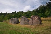 Dolmens at Lindeskov Hestehave, Ørbæk, Denmark van Jörg Hausmann thumbnail