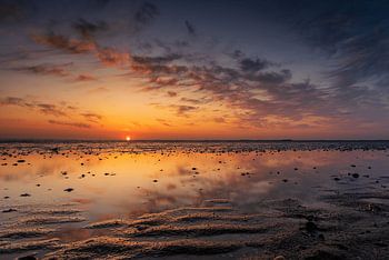 Genieten in alle rust