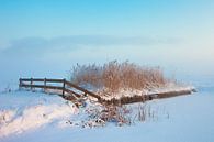 Winter landschap in de mist van Peter Bolman thumbnail