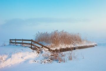 Winter landschap in de mist van Peter Bolman