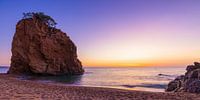Platja de l'Illa Roja