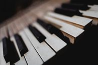 Keys of a piano in a shed in Greenland by Martijn Smeets thumbnail