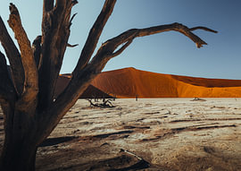 Dead Tree and Red Dune, Namib Desert by RicksWildFrames