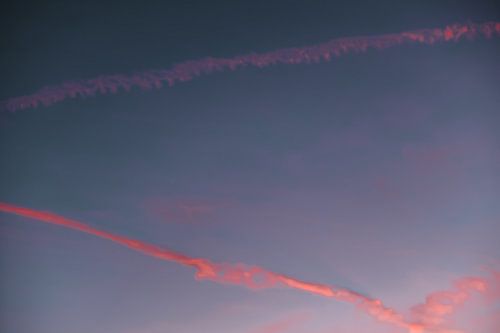 Rosa Streifen... von Debby Bierman