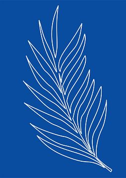 Minimalist Nature & Abstract Illustration Collection