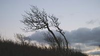 After sunset by Ostsee Bilder thumbnail