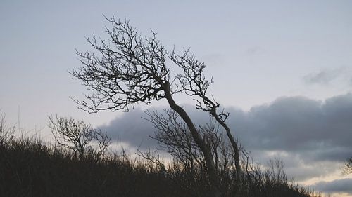 Na zonsondergang
