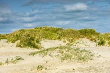 Texelse Duinen: Rust en Schoonheid van Texel eXperience