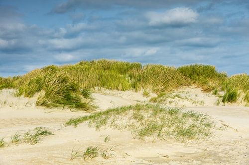 Texelse Duinen: Rust en Schoonheid