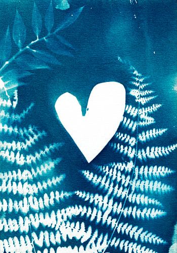 Blauw Hart met Varens