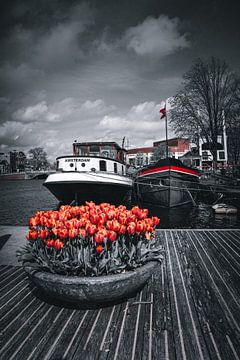 Amsterdam aux Pays-Bas n'est pas seulement noir et blanc