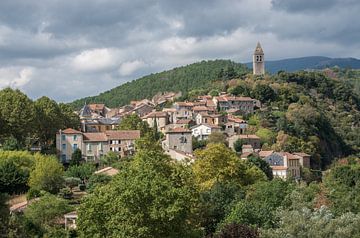 Olargues van Jasper Los