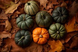 Pumpkins in autumn by Poster Art Shop